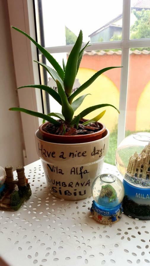 Vila Alfa Dumbrava 锡比乌 外观 照片